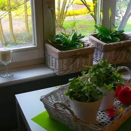 Kamienica Gorna 7 Ольштын