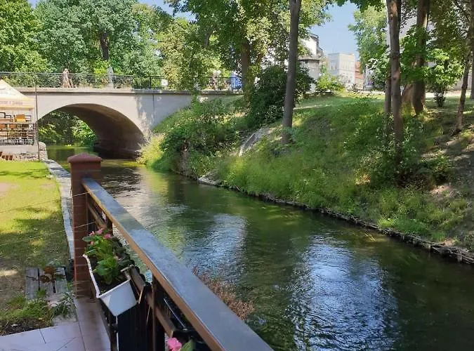 Homestay Kamienica Gorna 7 *